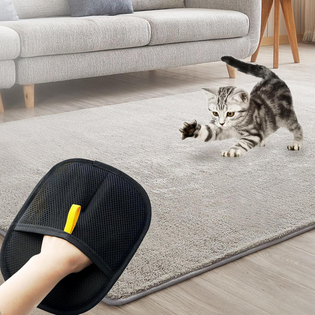 Premium Pet Hair Removal Glove
